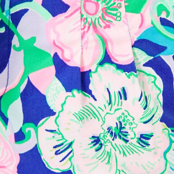 LILLY PULITZER Kaden Shorts 4” Multi Beak Calm Carry On Bow Belt - Picture 6 of 10